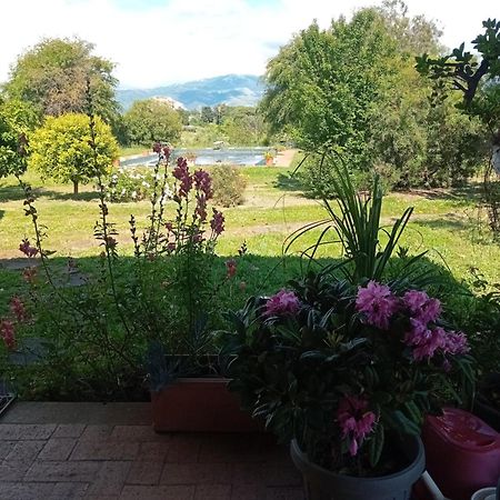 Casa Pratolungo Guest House Velletri Exterior photo