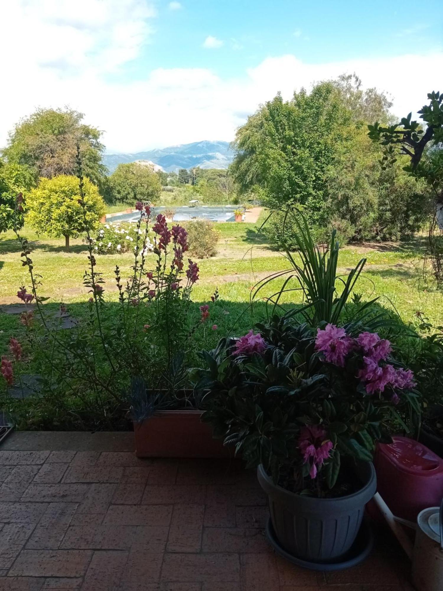 Casa Pratolungo Guest House Velletri Exterior photo