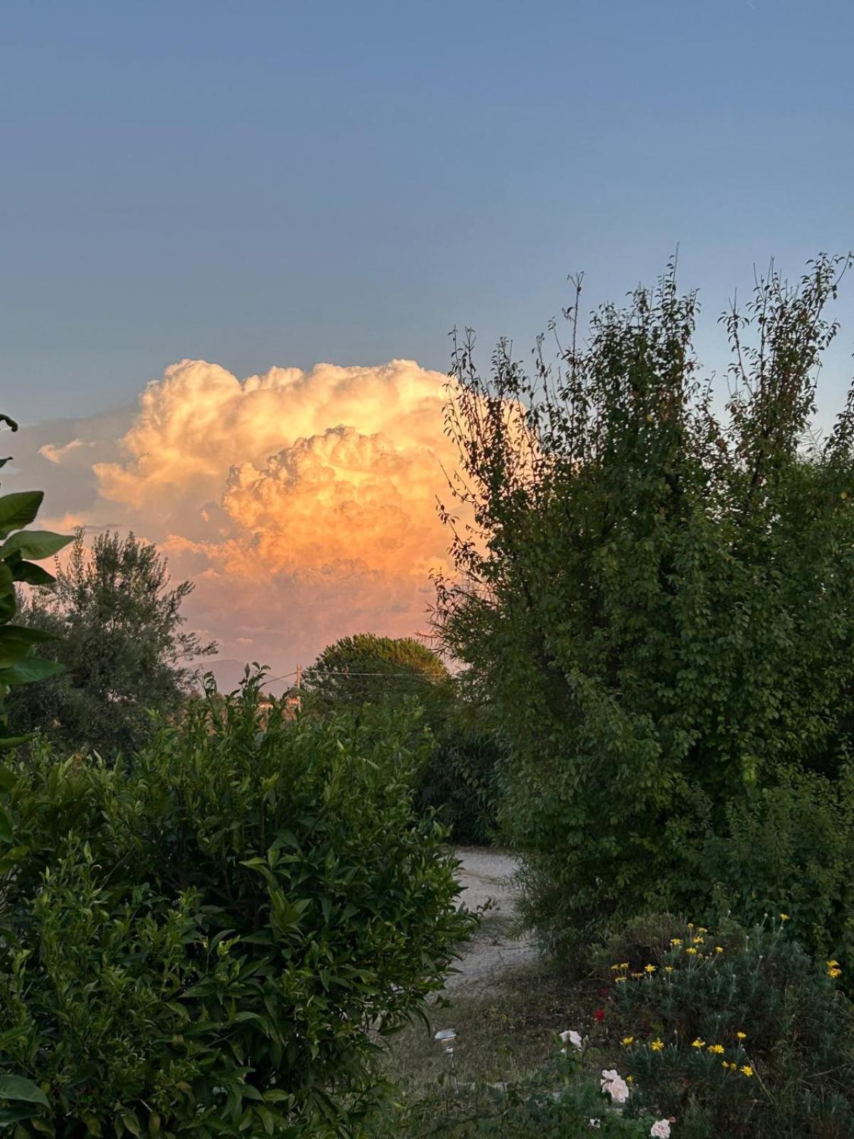 Casa Pratolungo Guest House Velletri Exterior photo